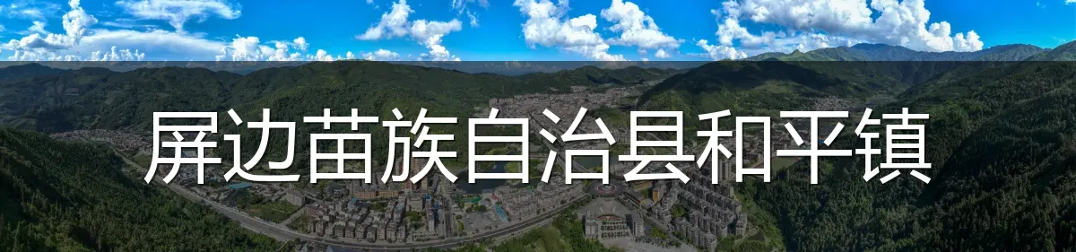 屏边苗族自治县和平镇