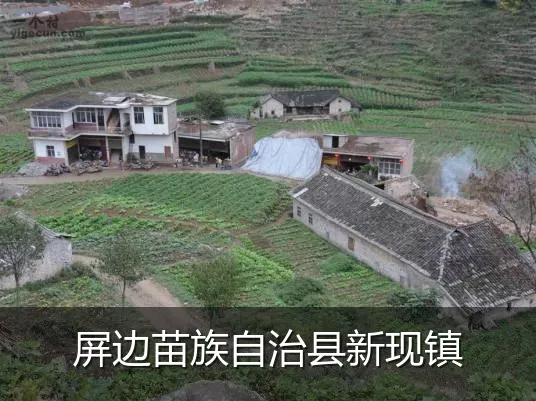 屏边苗族自治县新现镇